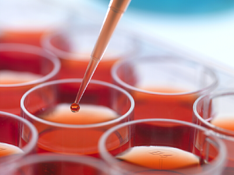 医疗器械组件等产品的包装和灭菌保存